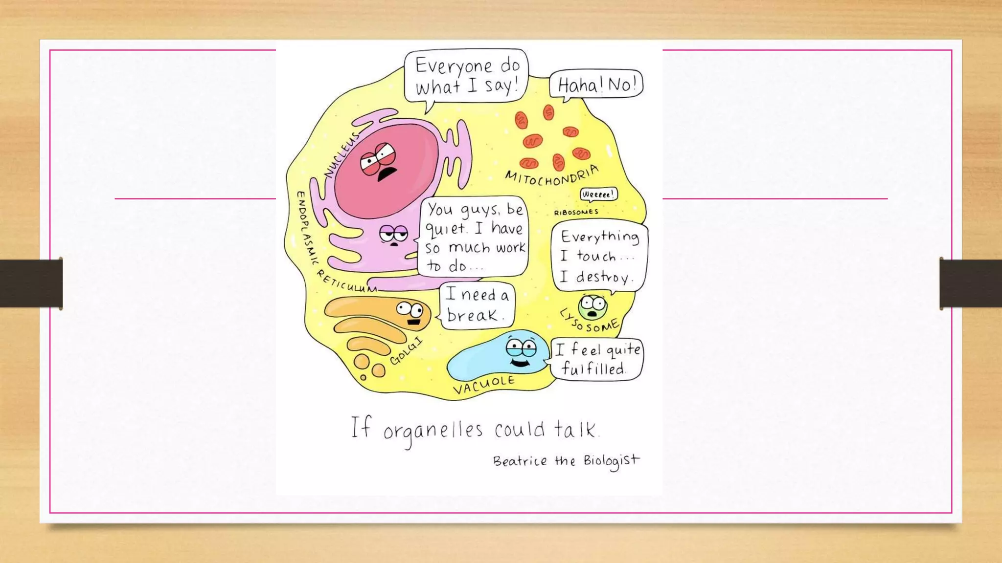 STRUCTURE AND FUNC.pptx