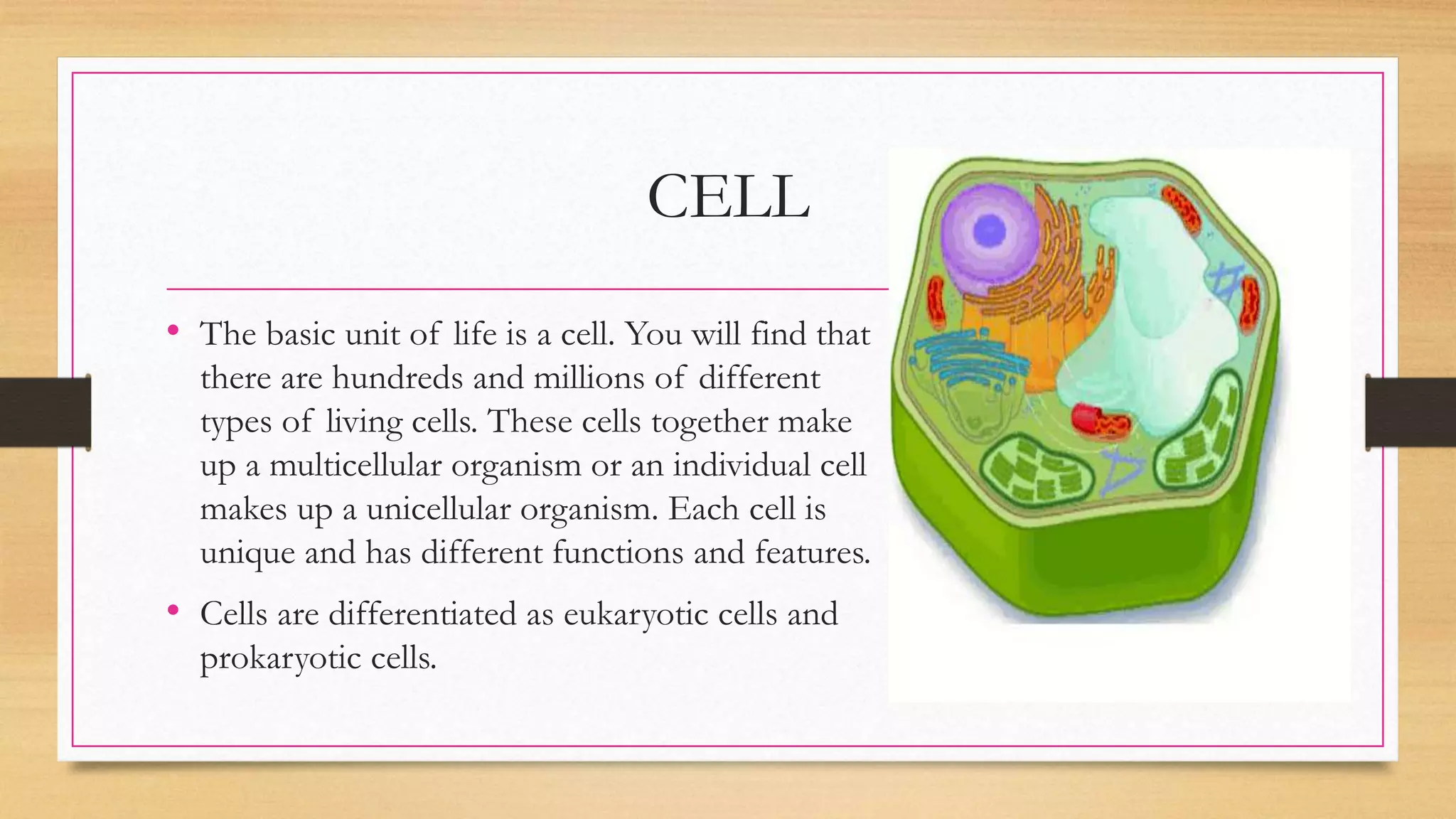 CELL
• The basic unit of life is a cell. You will find that
there are hundreds and millions of different
types of living cells. These cells together make
up a multicellular organism or an individual cell
makes up a unicellular organism. Each cell is
unique and has different functions and features.
• Cells are differentiated as eukaryotic cells and
prokaryotic cells.
 