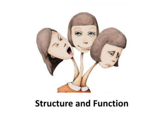 Structure and Function
 