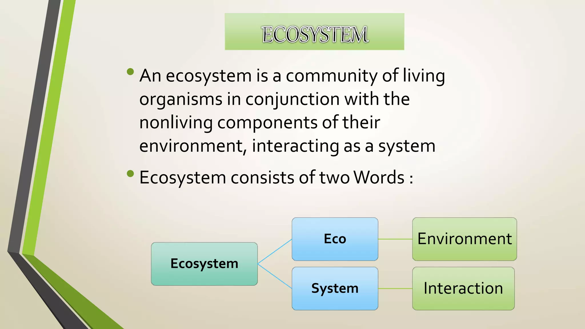 Structure and function | PPTX
