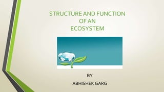 STRUCTURE AND FUNCTION 
OF AN 
ECOSYSTEM 
BY 
ABHISHEK GARG 
 