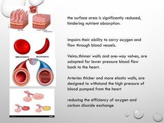 the surface area is significantly reduced,
hindering nutrient absorption.
impairs their ability to carry oxygen and
flow through blood vessels.
Veins:.thinner walls and one-way valves, are
adapted for lower pressure blood flow
back to the heart.
Arteries thicker and more elastic walls, are
designed to withstand the high pressure of
blood pumped from the heart
reducing the efficiency of oxygen and
carbon dioxide exchange
 