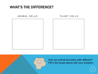 Structure and function in living things | PPTX