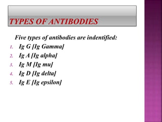 Five types of antibodies are indentified:
1. Ig G [Ig Gamma]
2. Ig A [Ig alpha]
3. Ig M [Ig mu]
4. Ig D [Ig delta]
5. Ig E [Ig epsilon]
 