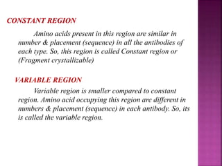 Amino acids present in this region are similar in
number & placement (sequence) in all the antibodies of
each type. So, this region is called Constant region or
(Fragment crystallizable)
VARIABLE REGION
Variable region is smaller compared to constant
region. Amino acid occupying this region are different in
numbers & placement (sequence) in each antibody. So, its
is called the variable region.
 