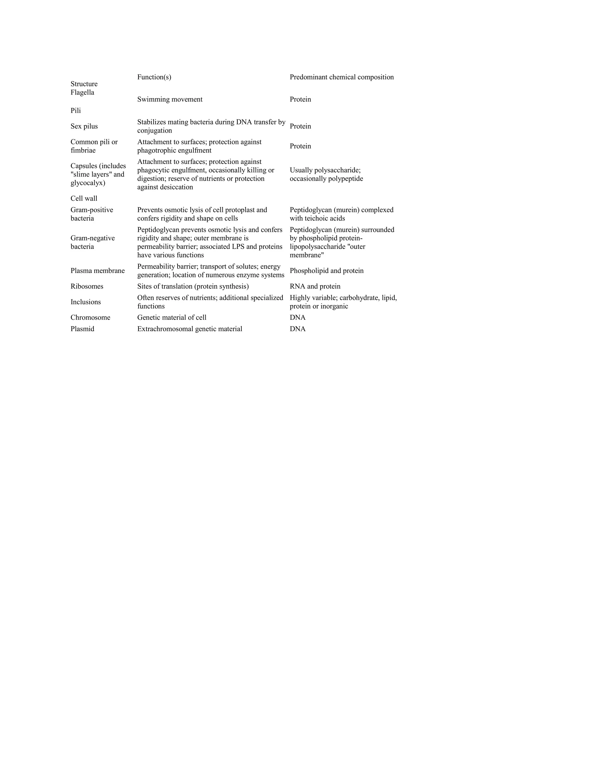 Structure
Flagella
Function(s)
Swimming movement
Predominant chemical composition
Protein
Pili
Sex pilus
Stabilizes mating bacteria during DNA transfer by
conjugation
Protein
Common pili or
fimbriae
Attachment to surfaces; protection against
phagotrophic engulfment
Protein
Capsules (includes
"slime layers" and
glycocalyx)
Attachment to surfaces; protection against
phagocytic engulfment, occasionally killing or
digestion; reserve of nutrients or protection
against desiccation
Usually polysaccharide;
occasionally polypeptide
Cell wall
Gram-positive
bacteria
Prevents osmotic lysis of cell protoplast and
confers rigidity and shape on cells
Peptidoglycan (murein) complexed
with teichoic acids
Gram-negative
bacteria
Peptidoglycan prevents osmotic lysis and confers
rigidity and shape; outer membrane is
permeability barrier; associated LPS and proteins
have various functions
Peptidoglycan (murein) surrounded
by phospholipid protein-
lipopolysaccharide "outer
membrane"
Plasma membrane
Permeability barrier; transport of solutes; energy
generation; location of numerous enzyme systems
Phospholipid and protein
Ribosomes Sites of translation (protein synthesis) RNA and protein
Inclusions
Often reserves of nutrients; additional specialized
functions
Highly variable; carbohydrate, lipid,
protein or inorganic
Chromosome Genetic material of cell DNA
Plasmid Extrachromosomal genetic material DNA
 