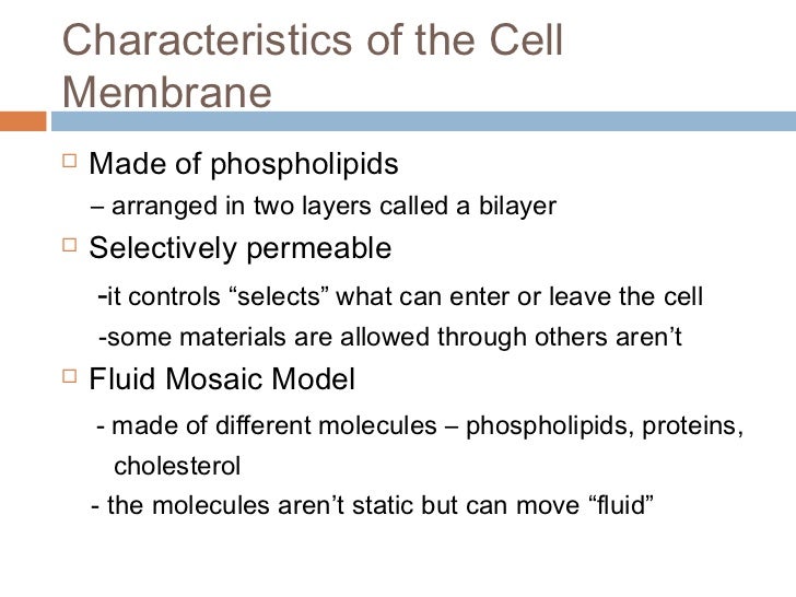 Structure and function of cell membrane