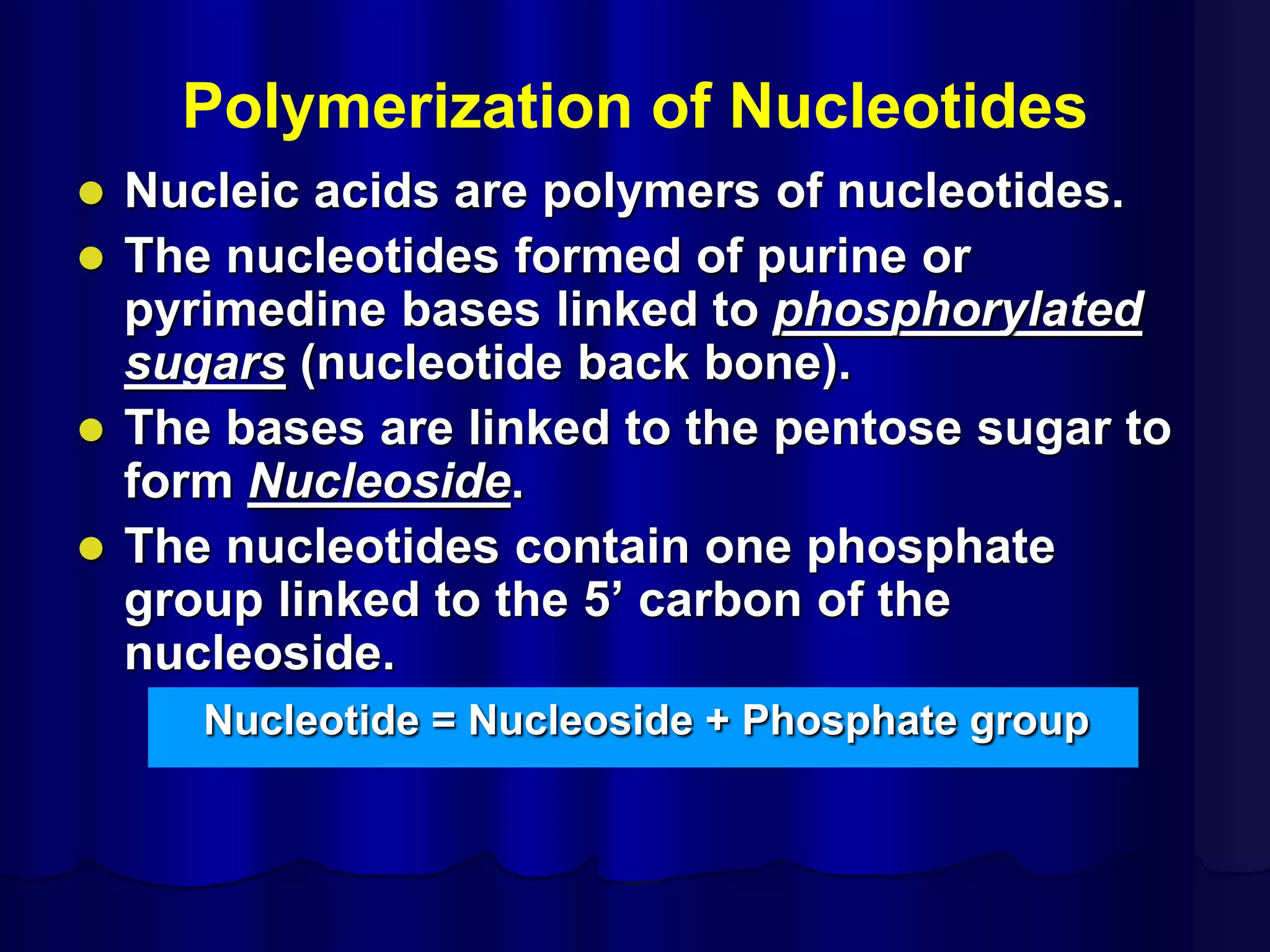 Polymerization of Nucleotides
 Nucleic acids are polymers of nucleotides.
 The nucleotides formed of purine or
pyrimedine bases linked to phosphorylated
sugars (nucleotide back bone).
 The bases are linked to the pentose sugar to
form Nucleoside.
 The nucleotides contain one phosphate
group linked to the 5’ carbon of the
nucleoside.
Nucleotide = Nucleoside + Phosphate group
 