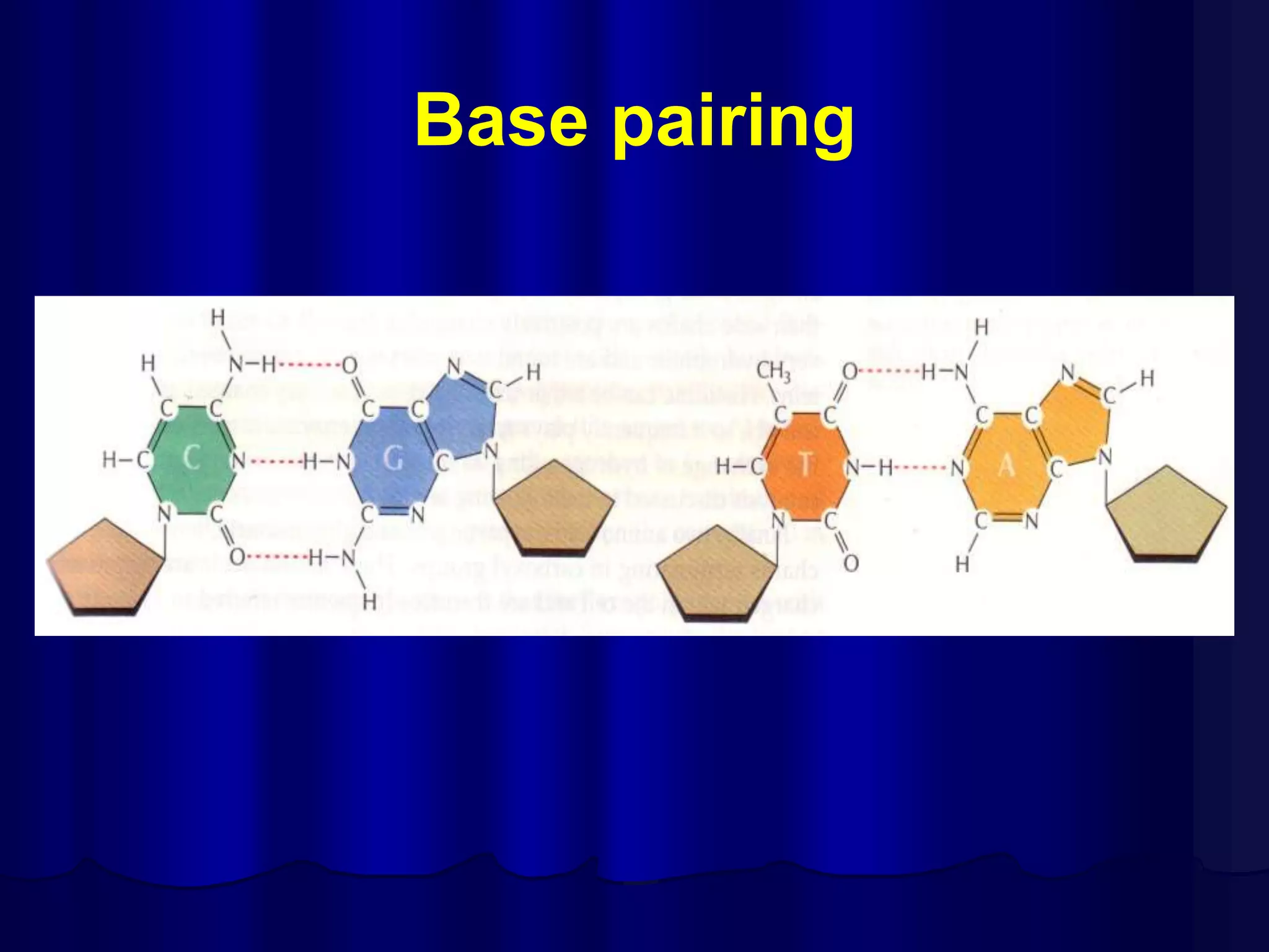 Base pairing
 