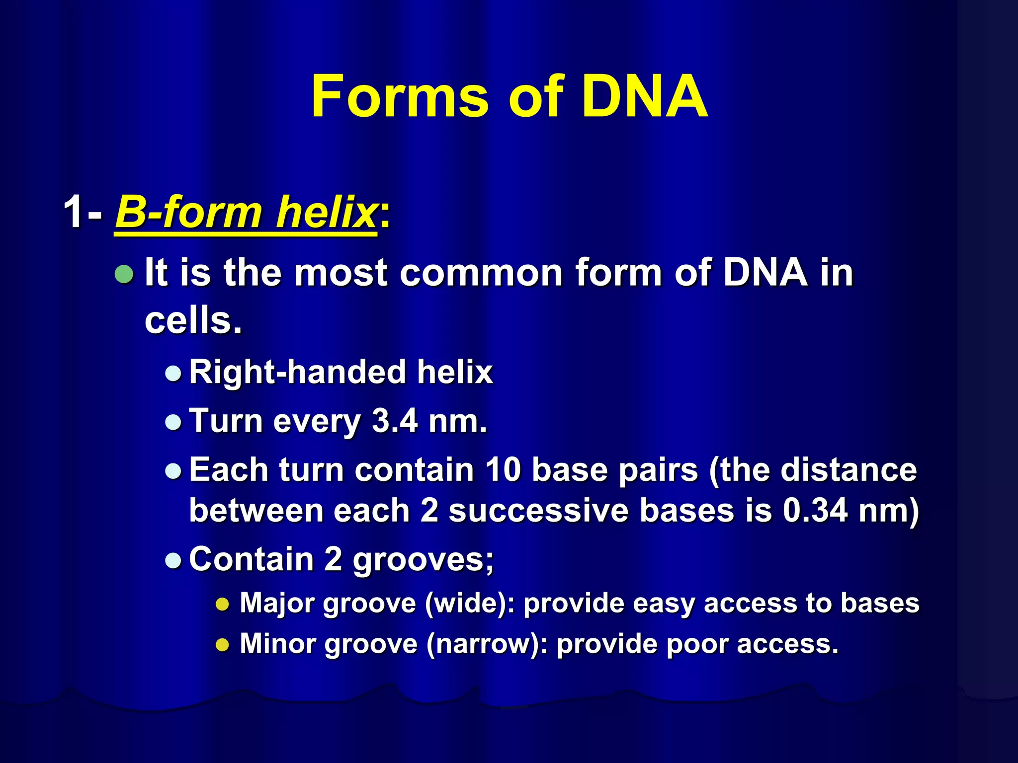 Forms of DNA
1- B-form helix:
 It is the most common form of DNA in
cells.
 Right-handed helix
 Turn every 3.4 nm.
 Each turn contain 10 base pairs (the distance
between each 2 successive bases is 0.34 nm)
 Contain 2 grooves;
 Major groove (wide): provide easy access to bases
 Minor groove (narrow): provide poor access.
 
