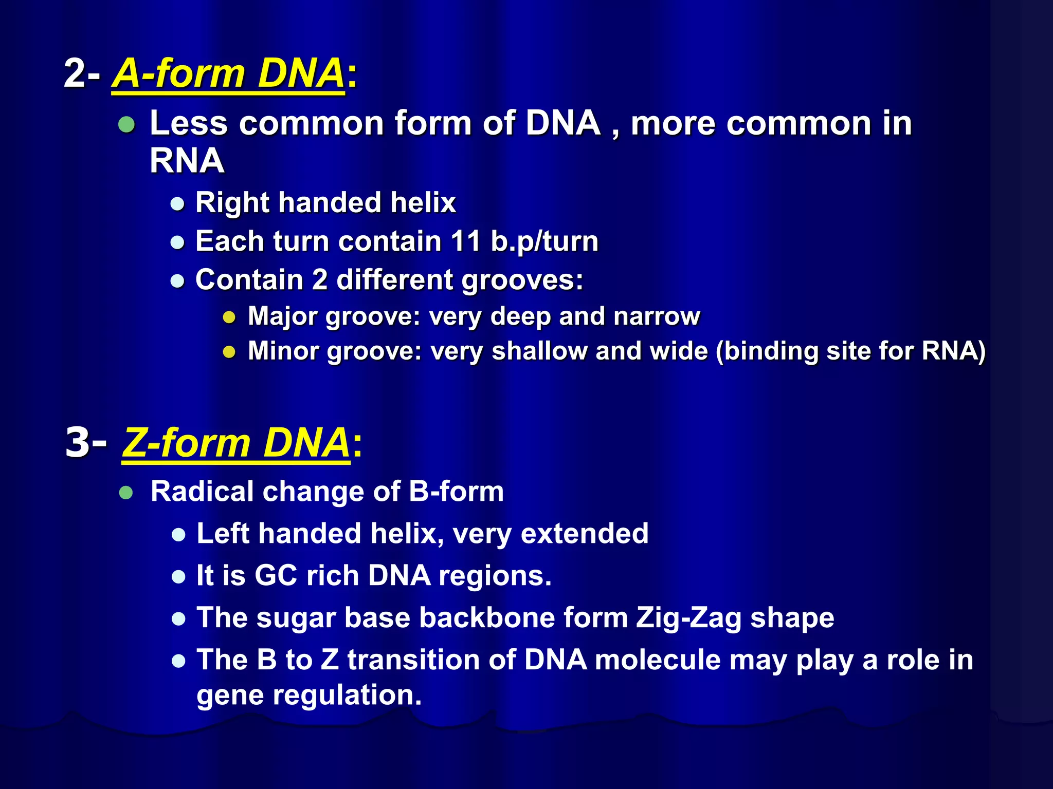 2- A-form DNA:
 Less common form of DNA , more common in
RNA
 Right handed helix
 Each turn contain 11 b.p/turn
 Contain 2 different grooves:
 Major groove: very deep and narrow
 Minor groove: very shallow and wide (binding site for RNA)
3- Z-form DNA:
 Radical change of B-form
 Left handed helix, very extended
 It is GC rich DNA regions.
 The sugar base backbone form Zig-Zag shape
 The B to Z transition of DNA molecule may play a role in
gene regulation.
 
