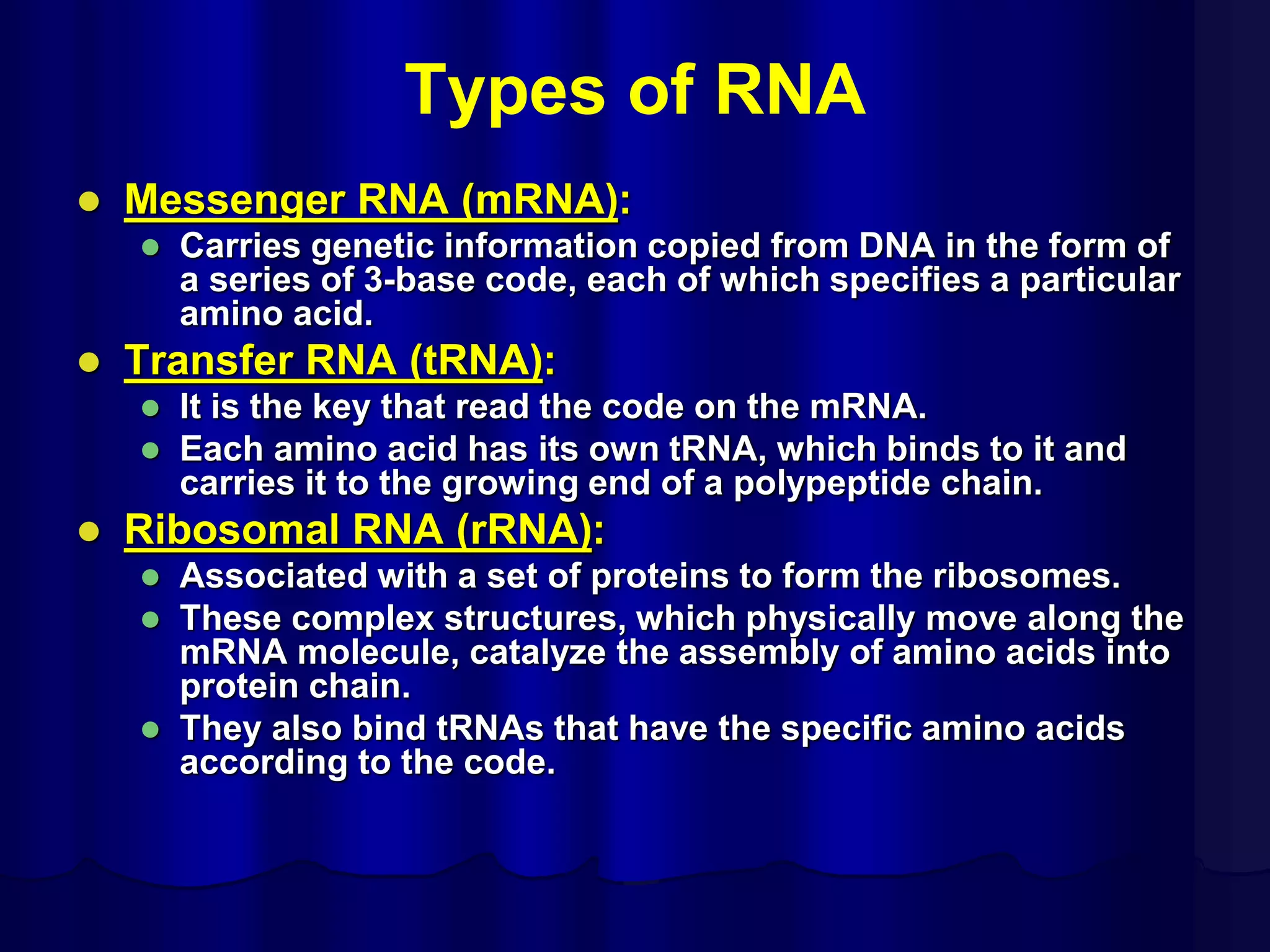 Types of RNA
 Messenger RNA (mRNA):
 Carries genetic information copied from DNA in the form of
a series of 3-base code, each of which specifies a particular
amino acid.
 Transfer RNA (tRNA):
 It is the key that read the code on the mRNA.
 Each amino acid has its own tRNA, which binds to it and
carries it to the growing end of a polypeptide chain.
 Ribosomal RNA (rRNA):
 Associated with a set of proteins to form the ribosomes.
 These complex structures, which physically move along the
mRNA molecule, catalyze the assembly of amino acids into
protein chain.
 They also bind tRNAs that have the specific amino acids
according to the code.
 