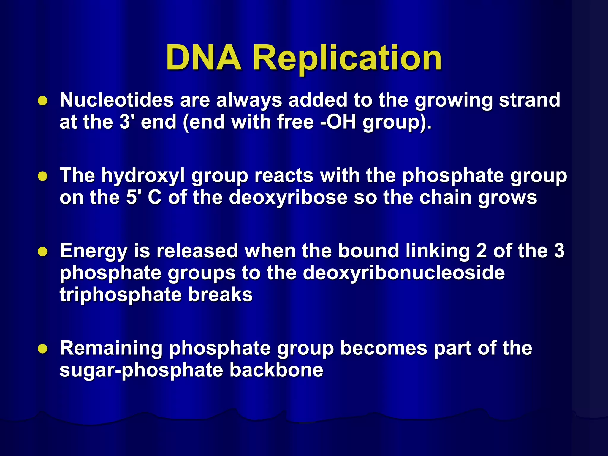 DNA Replication
 Nucleotides are always added to the growing strand
at the 3' end (end with free -OH group).
 The hydroxyl group reacts with the phosphate group
on the 5' C of the deoxyribose so the chain grows
 Energy is released when the bound linking 2 of the 3
phosphate groups to the deoxyribonucleoside
triphosphate breaks
 Remaining phosphate group becomes part of the
sugar-phosphate backbone
 