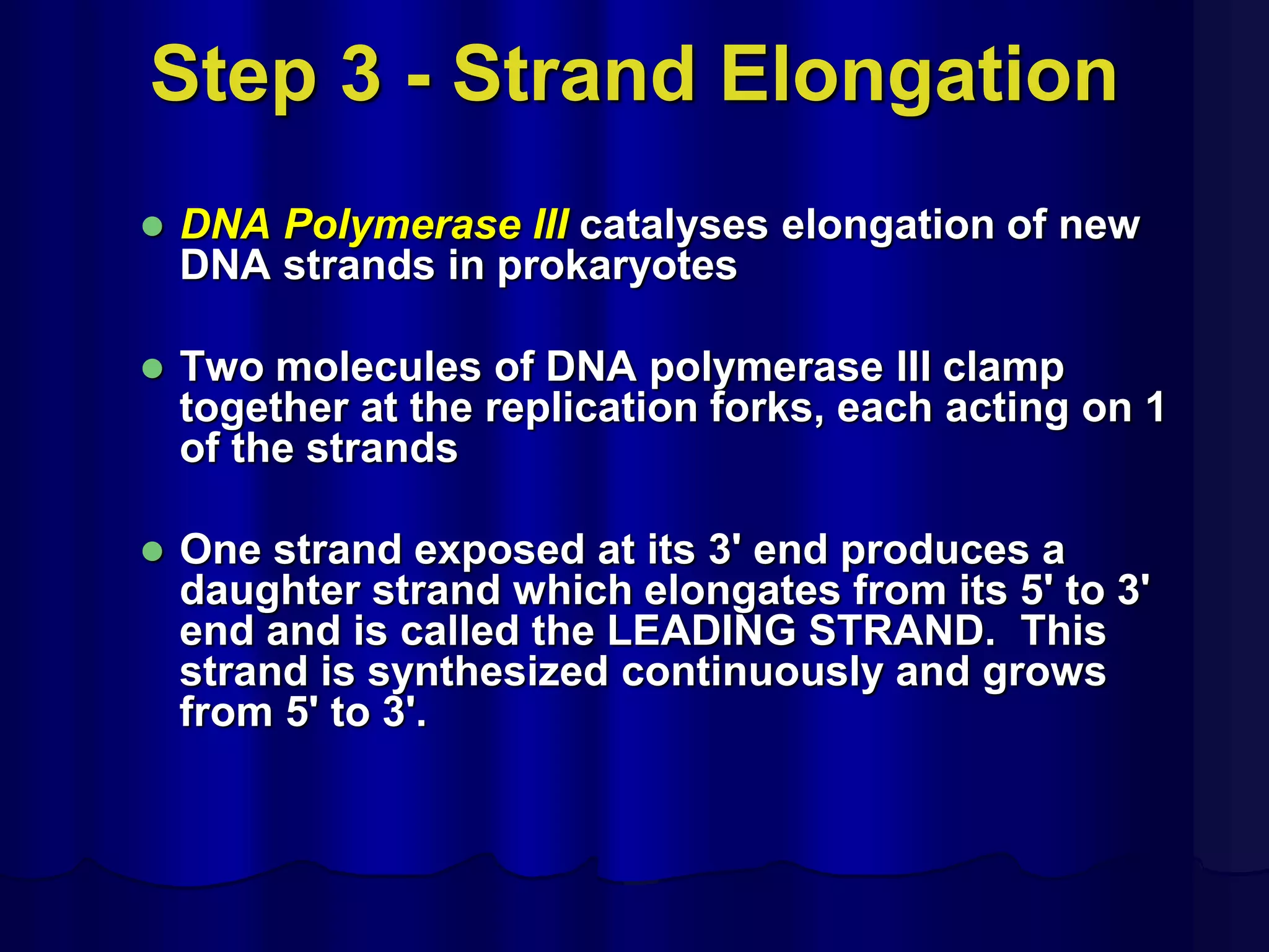 Step 3 - Strand Elongation
 DNA Polymerase III catalyses elongation of new
DNA strands in prokaryotes
 Two molecules of DNA polymerase III clamp
together at the replication forks, each acting on 1
of the strands
 One strand exposed at its 3' end produces a
daughter strand which elongates from its 5' to 3'
end and is called the LEADING STRAND. This
strand is synthesized continuously and grows
from 5' to 3'.
 