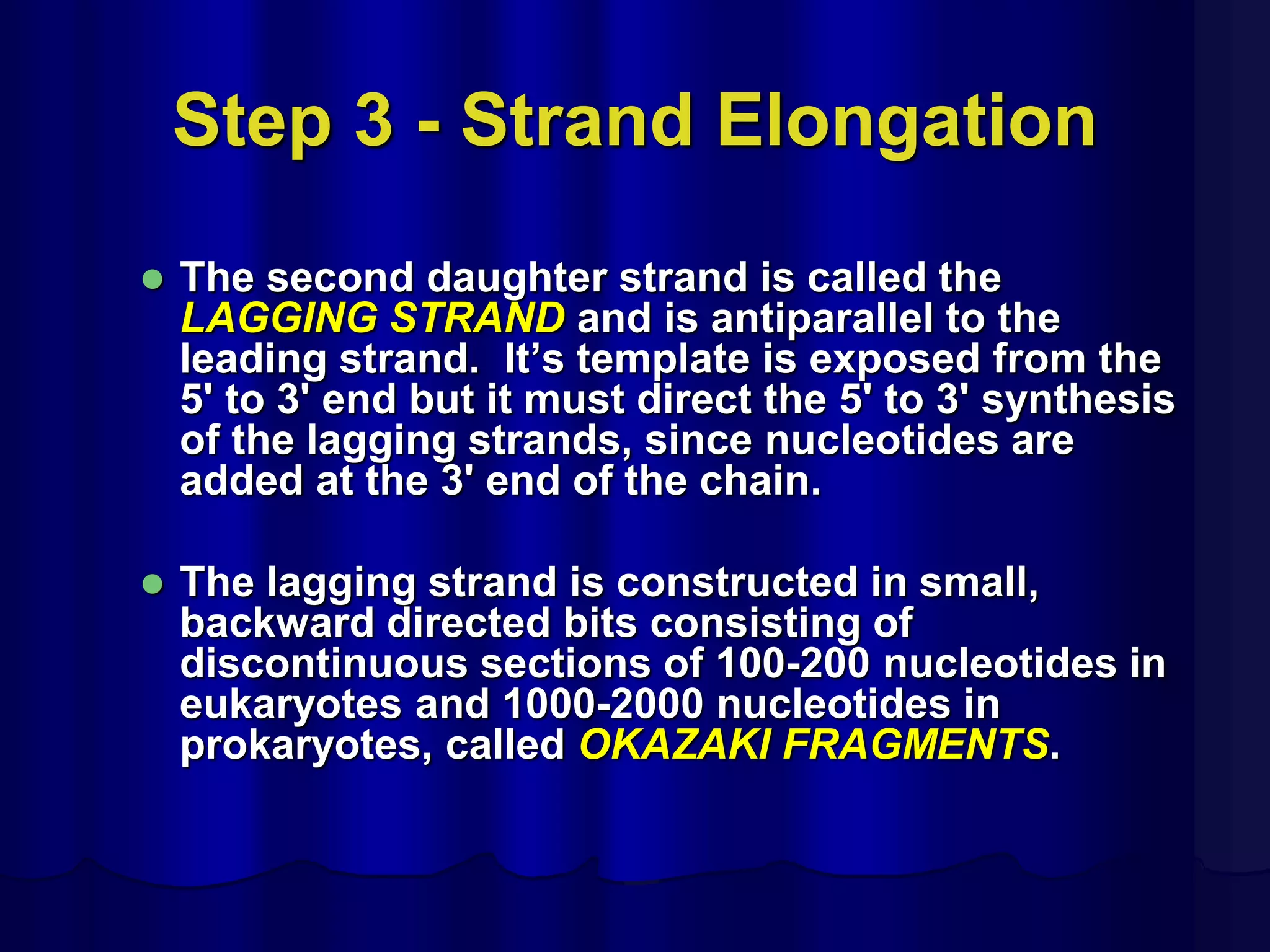 Step 3 - Strand Elongation
 The second daughter strand is called the
LAGGING STRAND and is antiparallel to the
leading strand. It’s template is exposed from the
5' to 3' end but it must direct the 5' to 3' synthesis
of the lagging strands, since nucleotides are
added at the 3' end of the chain.
 The lagging strand is constructed in small,
backward directed bits consisting of
discontinuous sections of 100-200 nucleotides in
eukaryotes and 1000-2000 nucleotides in
prokaryotes, called OKAZAKI FRAGMENTS.
 