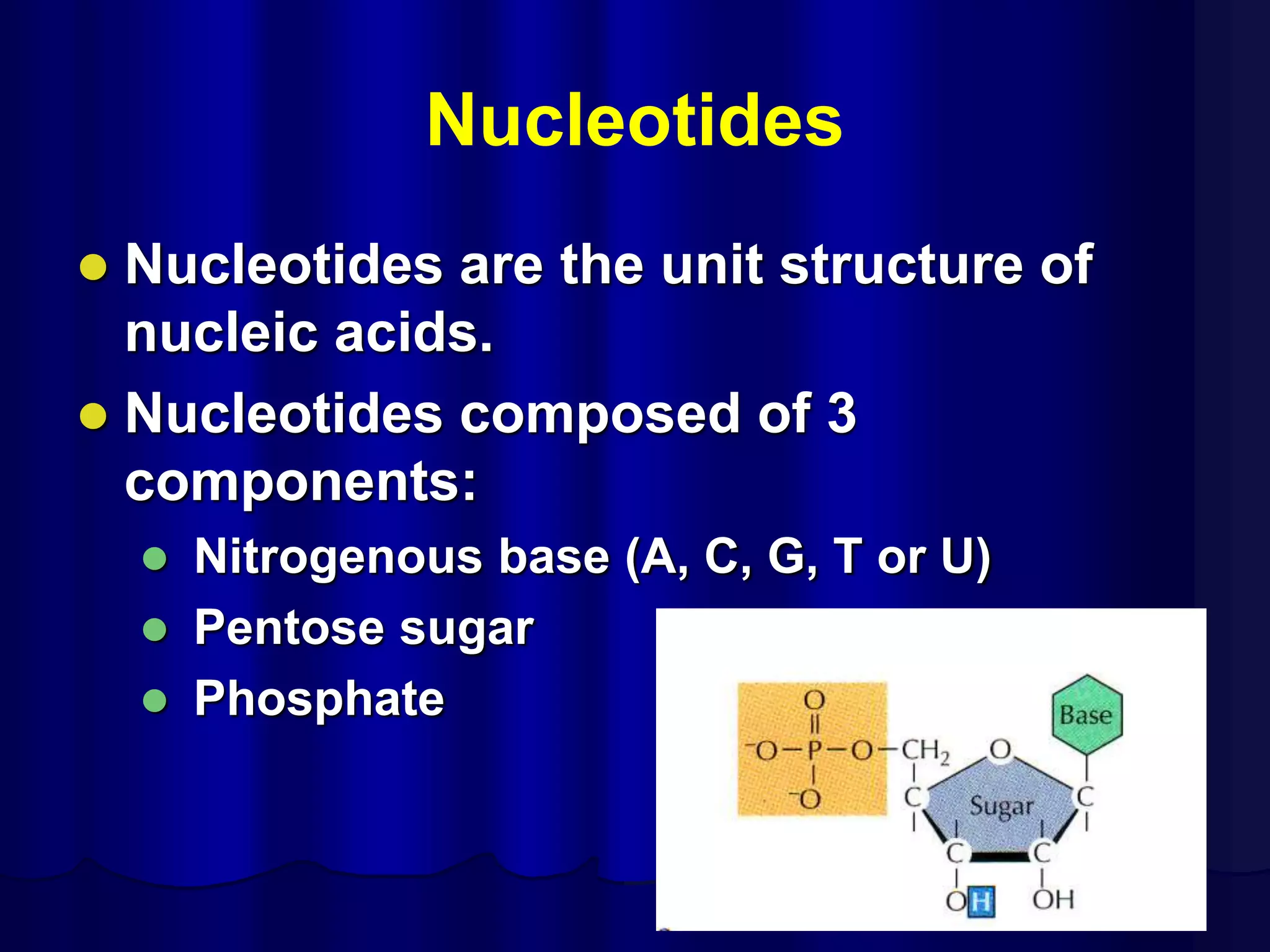 Nucleotides
 Nucleotides are the unit structure of
nucleic acids.
 Nucleotides composed of 3
components:
 Nitrogenous base (A, C, G, T or U)
 Pentose sugar
 Phosphate
 