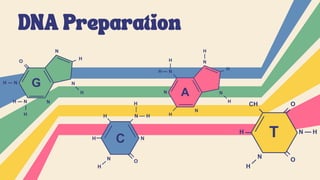 DNA Preparation
 