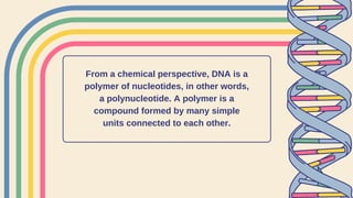 From a chemical perspective, DNA is a
polymer of nucleotides, in other words,
a polynucleotide. A polymer is a
compound formed by many simple
units connected to each other.
 