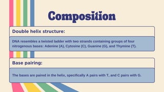 Composition
Double helix structure:
DNA resembles a twisted ladder with two strands containing groups of four
nitrogenous bases: Adenine (A), Cytosine (C), Guanine (G), and Thymine (T).
Base pairing:
The bases are paired in the helix, specifically A pairs with T, and C pairs with G.
 
