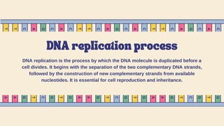 DNA replication process
DNA replication is the process by which the DNA molecule is duplicated before a
cell divides. It begins with the separation of the two complementary DNA strands,
followed by the construction of new complementary strands from available
nucleotides. It is essential for cell reproduction and inheritance.
 