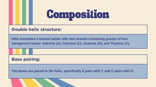 Structure and function of DNA presentation_20240204_205749_0000.pptx