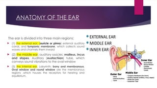 STRUCTURE AND FUNCTION OF EAR Aadya (AA03).pptx