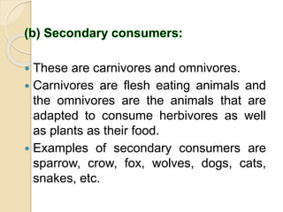  These are carnivores and omnivores.
 Carnivores are flesh eating animals and
the omnivores are the animals that are
adapted to consume herbivores as well
as plants as their food.
 Examples of secondary consumers are
sparrow, crow, fox, wolves, dogs, cats,
snakes, etc.
 
