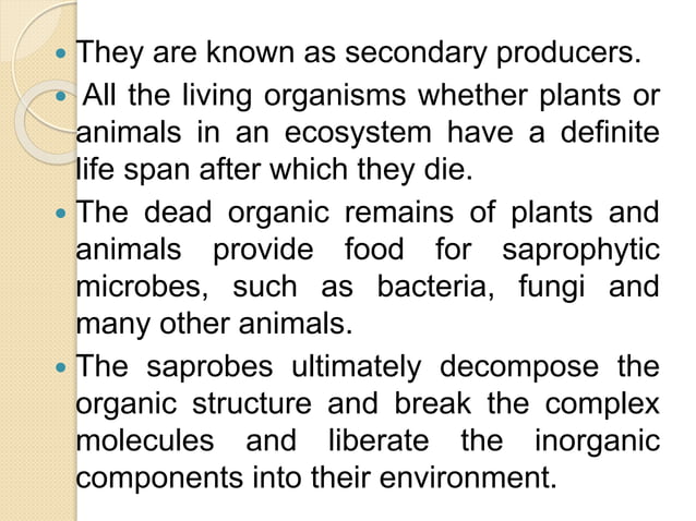 Structure and function of ecosystem | PPTX | Geography | Science