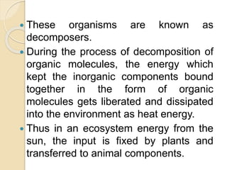  These organisms are known as
decomposers.
 During the process of decomposition of
organic molecules, the energy which
kept the inorganic components bound
together in the form of organic
molecules gets liberated and dissipated
into the environment as heat energy.
 Thus in an ecosystem energy from the
sun, the input is fixed by plants and
transferred to animal components.
 