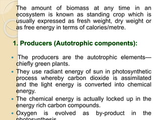 The amount of biomass at any time in an
ecosystem is known as standing crop which is
usually expressed as fresh weight, dry weight or
as free energy in terms of calories/metre.
 The producers are the autotrophic elements—
chiefly green plants.
 They use radiant energy of sun in photosynthetic
process whereby carbon dioxide is assimilated
and the light energy is converted into chemical
energy.
 The chemical energy is actually locked up in the
energy rich carbon compounds.
 Oxygen is evolved as by-product in the
 