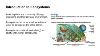 Structure And Function Of Ecosystem.pptx