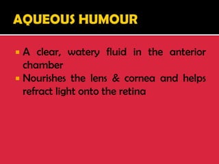  A clear, watery fluid in the anterior
chamber
 Nourishes the lens & cornea and helps
refract light onto the retina
 