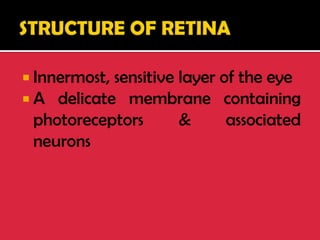  Innermost, sensitive layer of the eye
 A delicate membrane containing
photoreceptors & associated
neurons
 