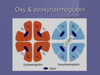 Oxy & deoxyhaemoglobinOxy & deoxyhaemoglobin
 