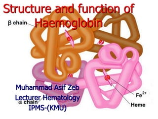 Structure and function of
Haemoglobin
Muhammad Asif Zeb
Lecturer Hematology
IPMS-(KMU)
 