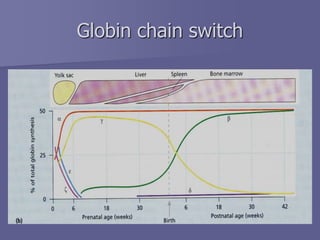 Globin chain switch
 