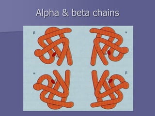 Alpha & beta chains
 