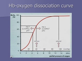 Hb-oxygen dissociation curve
 