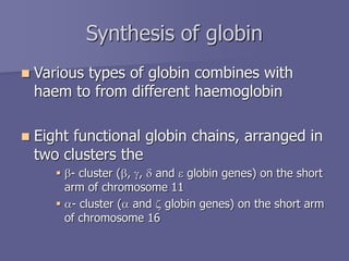 Synthesis of globin
 Various types of globin combines with
haem to from different haemoglobin
 Eight functional globin chains, arranged in
two clusters the
 b- cluster (b, g, d and e globin genes) on the short
arm of chromosome 11
 a- cluster (a and z globin genes) on the short arm
of chromosome 16
 
