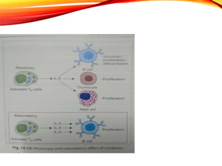 Structure and function of immune system | PPTX