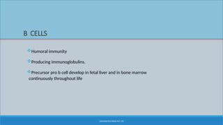 Structure and function of immune system 2.pptx
