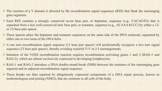  The creation of a V domain is directed by the recombination signal sequences (RSS) that flank the rearranging
gene segments.
 Each RSS contains a strongly conserved seven base pair, or heptamer, sequence (e.g., CACAGTG) that is
separated from a less well-conserved nine base pair, or nonamer, sequence (e.g., ACAAAACCC) by either a 12-
or 23-base-pair spacer.
 These spacers place the heptamer and nonamer sequences on the same side of the DNA molecule, separated by
either one or two turns of the DNA helix.
 A one turn recombination signal sequence (12 base pair spacer) will preferentially recognize a two turn signal
sequence (23 base pair spacer), thereby avoiding wasteful V-V or J-J rearrangements.
 Initiation of the V(D)J recombination reaction requires recombination activating genes 1 and 2 (RAG-1 and
RAG-2), which are almost exclusively expressed in developing lymphocytes.
 RAG-1 and RAG-2 introduce a DNA double-strand break (DSB) between the terminus of the rearranging gene
segment and its adjacent recombination signal sequence.
 These breaks are then repaired by ubiquitously expressed components of a DNA repair process, known as
nonhomologous end-joining (NHEJ), that are common to all cells of the body.
 