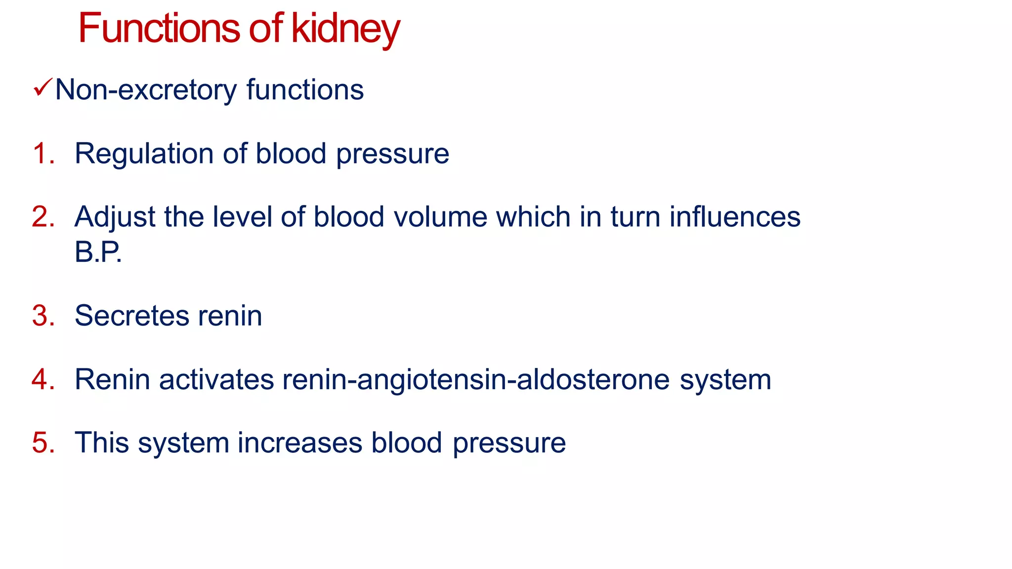 Functions of kidney
Non-excretory functions
1. Regulation of blood pressure
2. Adjust the level of blood volume which in turn influences
B.P.
3. Secretes renin
4. Renin activates renin-angiotensin-aldosterone system
5. This system increases blood pressure
 