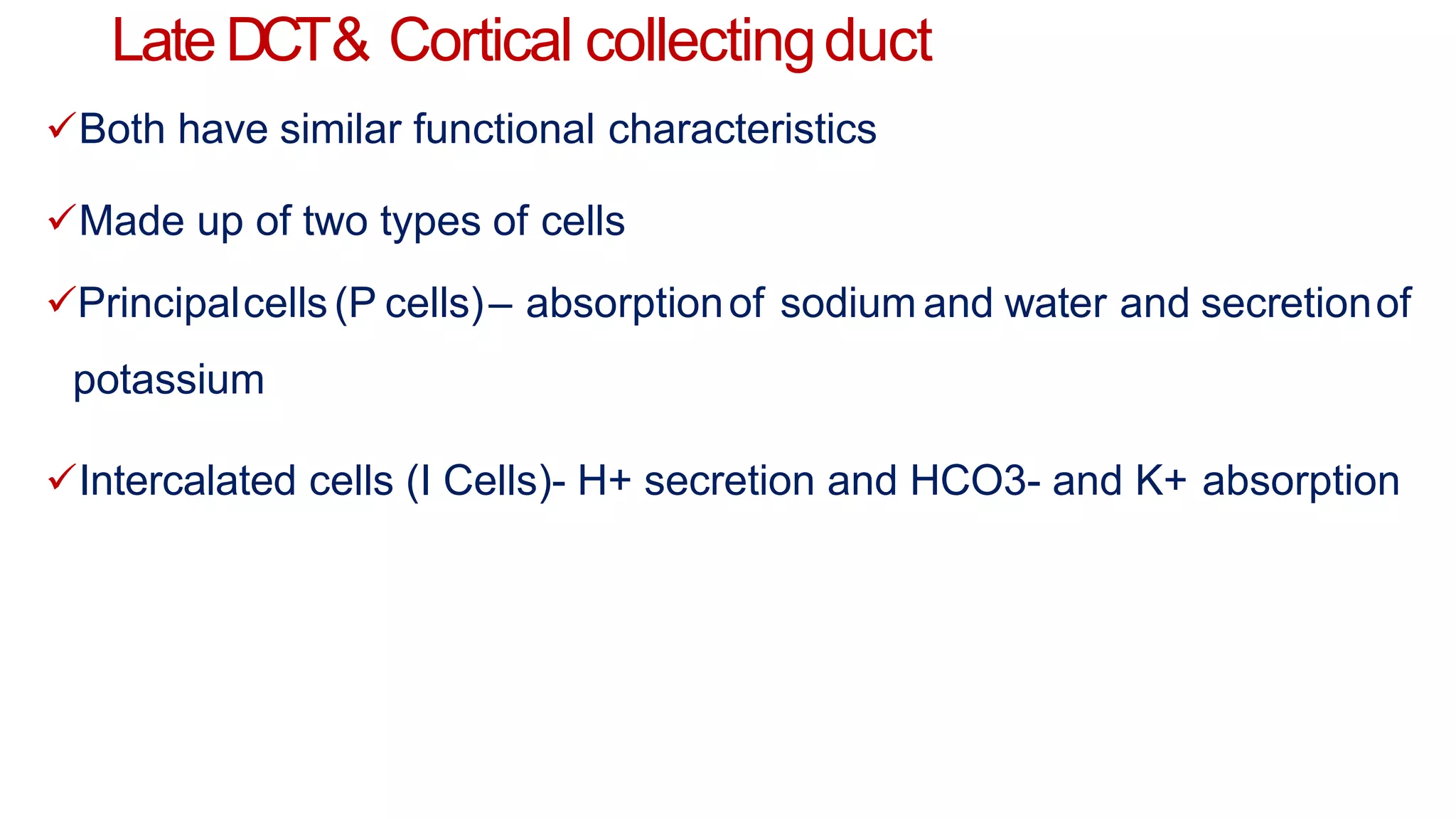 LateDCT& Cortical collectingduct
Both have similar functional characteristics
Made up of two types of cells
Principalcells(P cells)– absorptionof sodium and water and secretionof
potassium
Intercalated cells (I Cells)- H+ secretion and HCO3- and K+ absorption
 