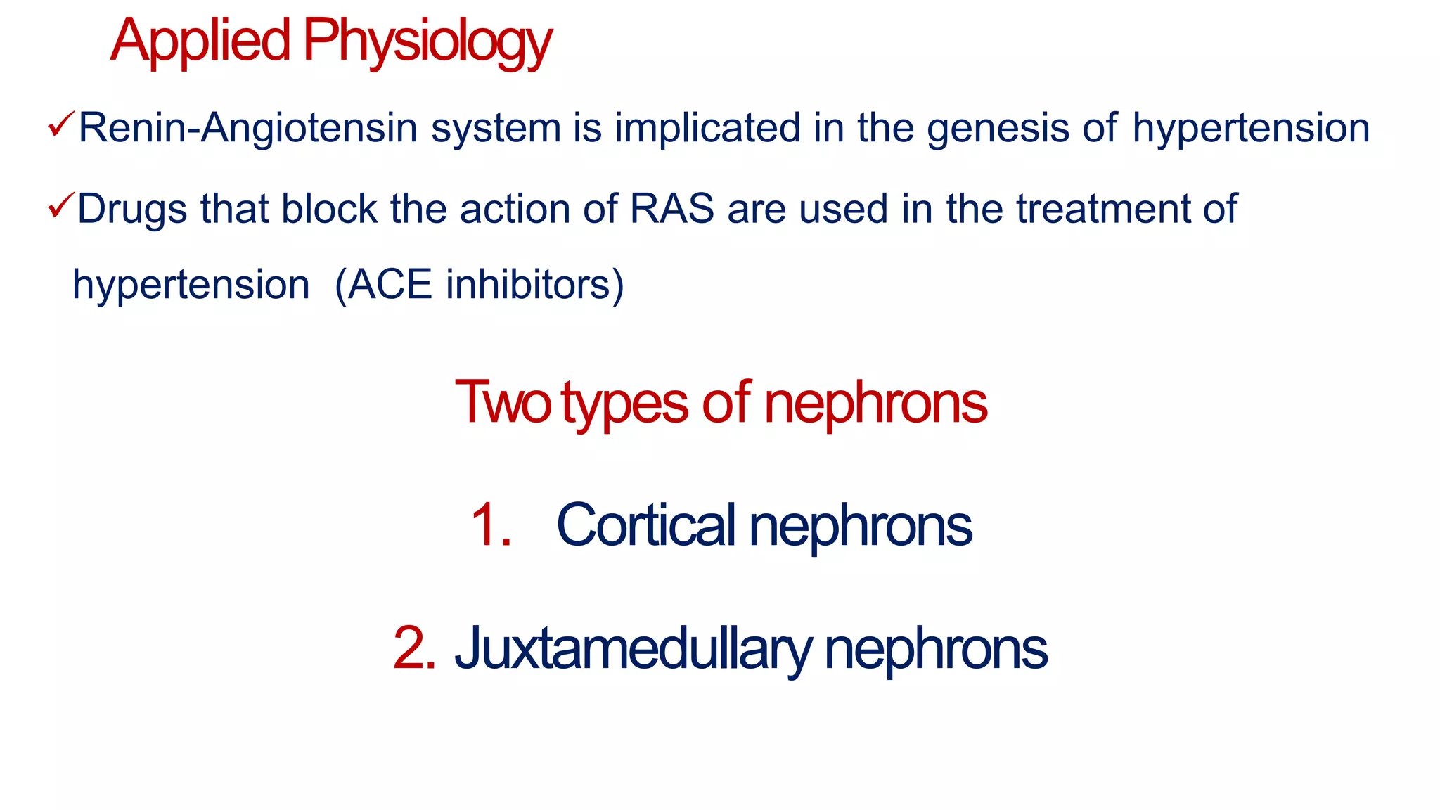 AppliedPhysiology
Renin-Angiotensin system is implicated in the genesis of hypertension
Drugs that block the action of RAS are used in the treatment of
hypertension (ACE inhibitors)
Twotypes of nephrons
1. Cortical nephrons
2. Juxtamedullarynephrons
 