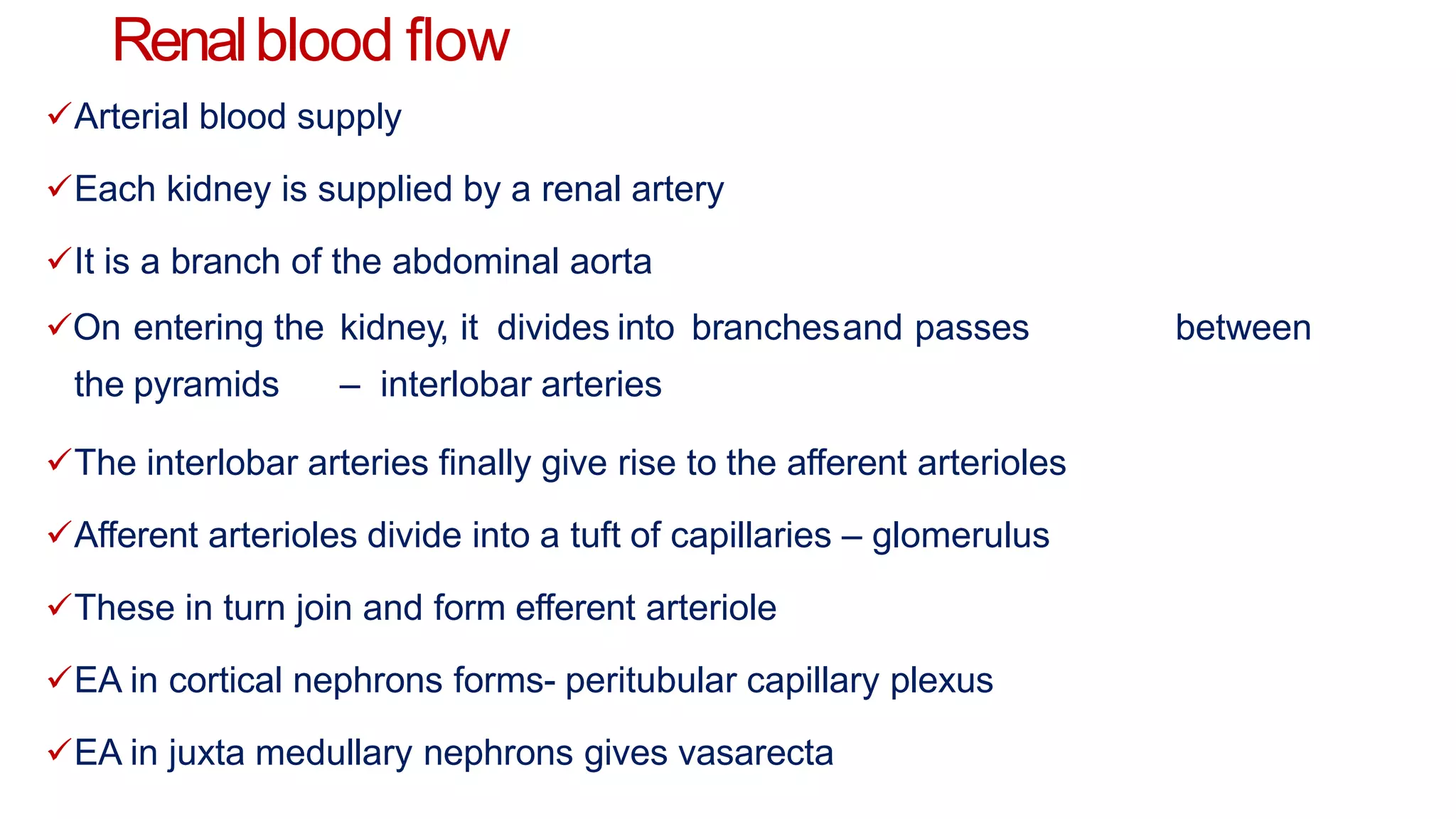 Renalblood flow
Arterial blood supply
Each kidney is supplied by a renal artery
It is a branch of the abdominal aorta
On entering the kidney, it divides into branchesand passes between
the pyramids – interlobar arteries
The interlobar arteries finally give rise to the afferent arterioles
Afferent arterioles divide into a tuft of capillaries – glomerulus
These in turn join and form efferent arteriole
EA in cortical nephrons forms- peritubular capillary plexus
EA in juxta medullary nephrons gives vasarecta
 