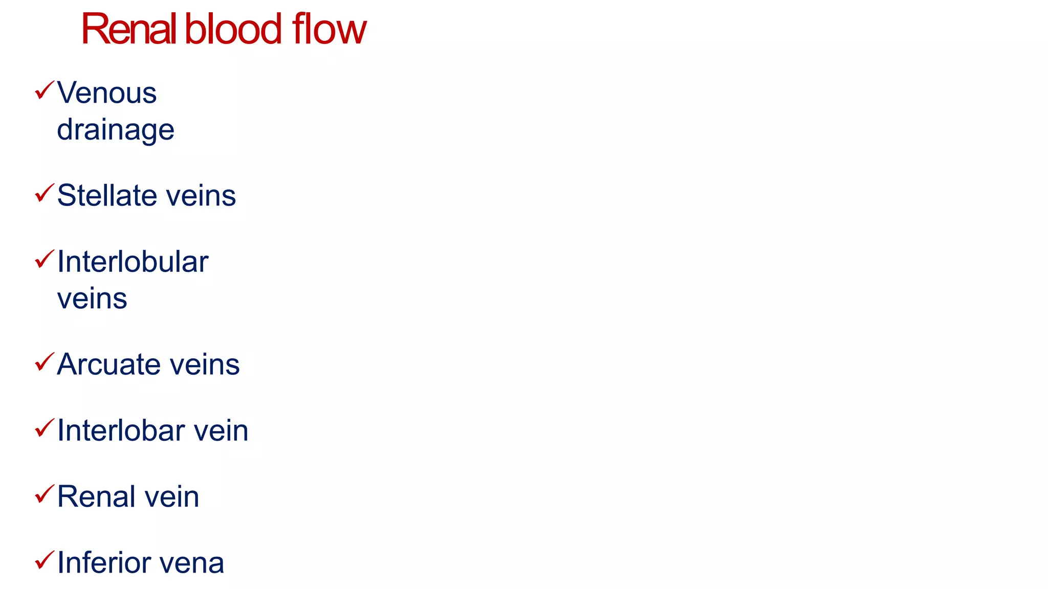 Renalblood flow
Venous
drainage
Stellate veins
Interlobular
veins
Arcuate veins
Interlobar vein
Renal vein
Inferior vena
 