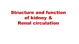 structure and function of kidney.pptx