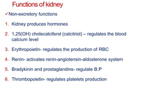 Functions of kidney
Non-excretory functions
1. Kidney produces hormones
2. 1,25(OH) cholecalciferol (calcitriol) – regulates the blood
calcium level
3. Erythropoietin- regulates the production of RBC
4. Renin- activates renin-angiotensin-aldosterone system
5. Bradykinin and prostaglandins- regulate B.P
6. Thrombopoietin- regulates platelets production
 