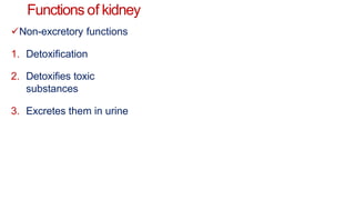 Functions of kidney
Non-excretory functions
1. Detoxification
2. Detoxifies toxic
substances
3. Excretes them in urine
 